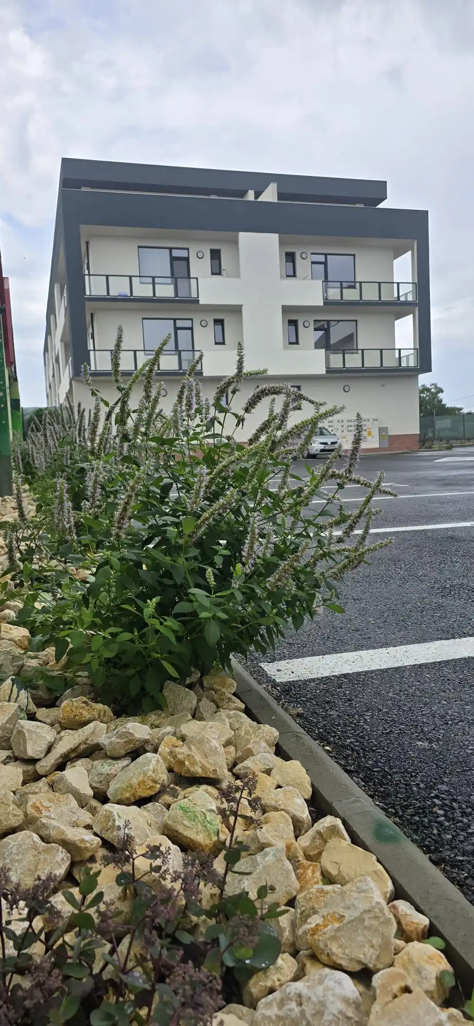 Apartamente noi in Constanta
